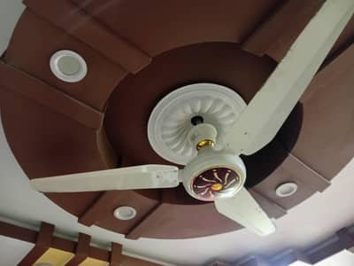 1 brakit fan 1 another fan