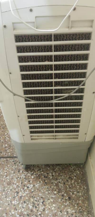 GFS brand