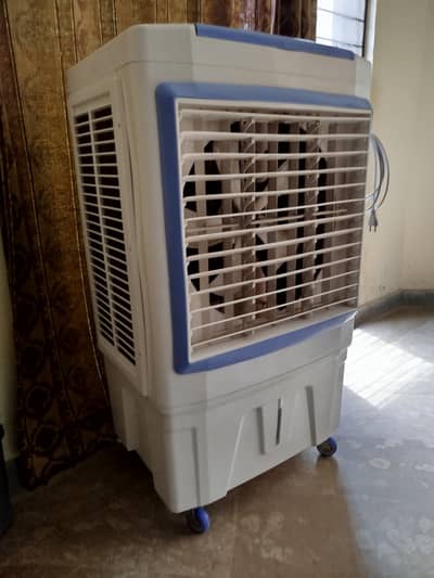 Cooler with three ice box