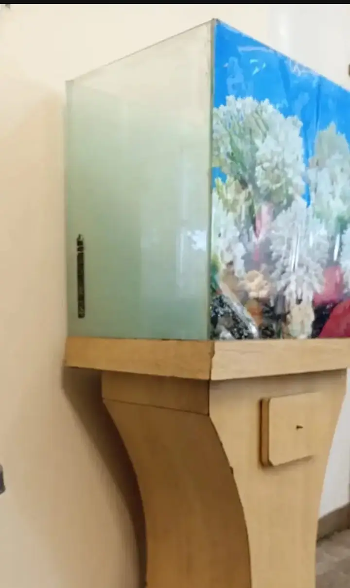 Fish Aquarium — photo 3