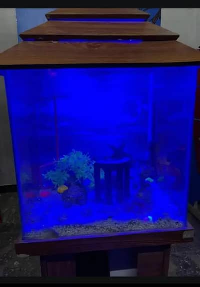 Smart Fish Aquarium