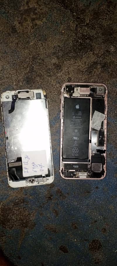 Apple iPhone 7