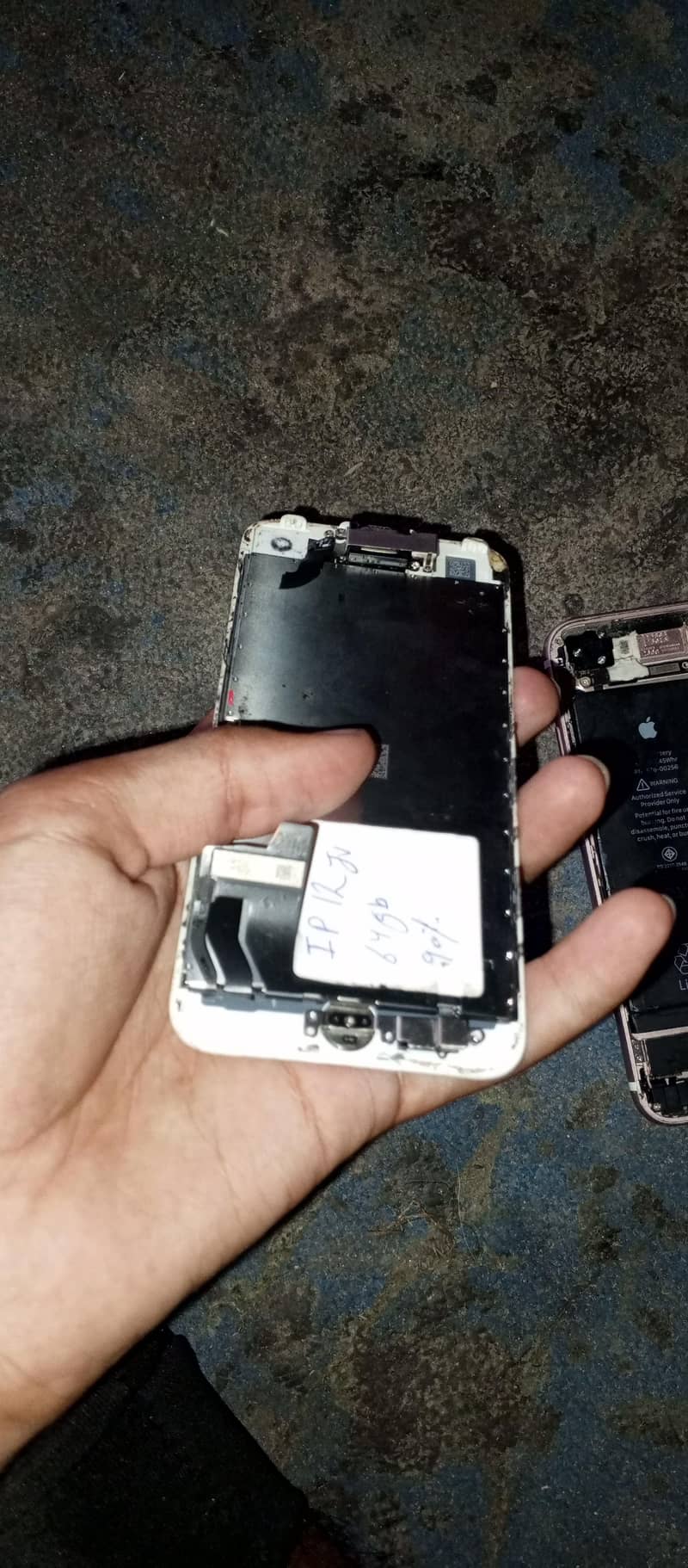 Apple iPhone 7 1
