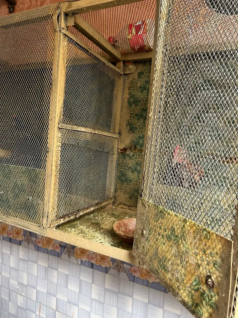 Iron Cage — photo 6