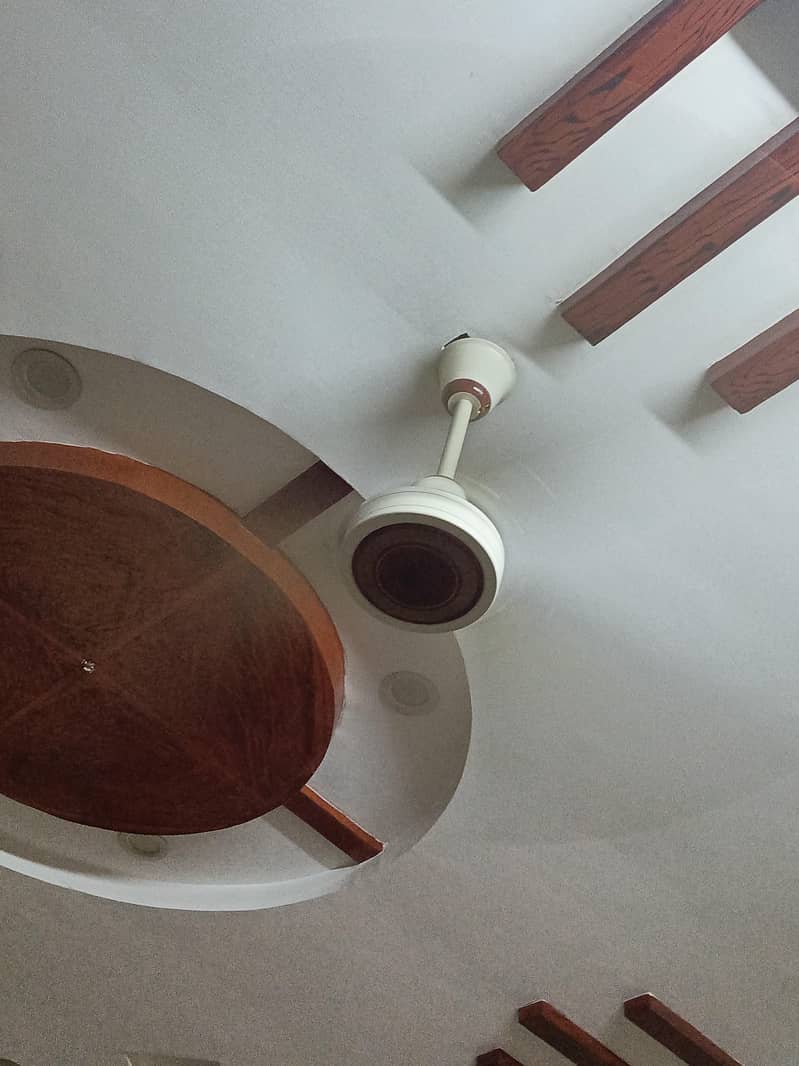 cieling fan 0