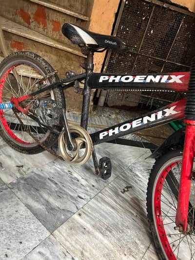 Phoenix Bicycle 17"