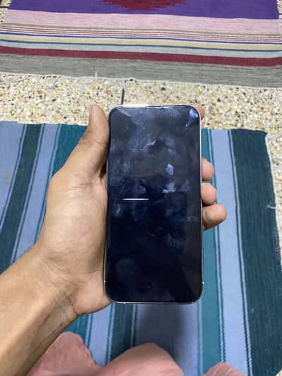 Apple iPhone 13 Pro approved