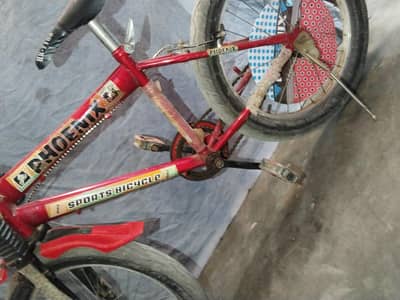 cycle