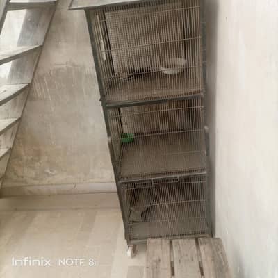 bird cage