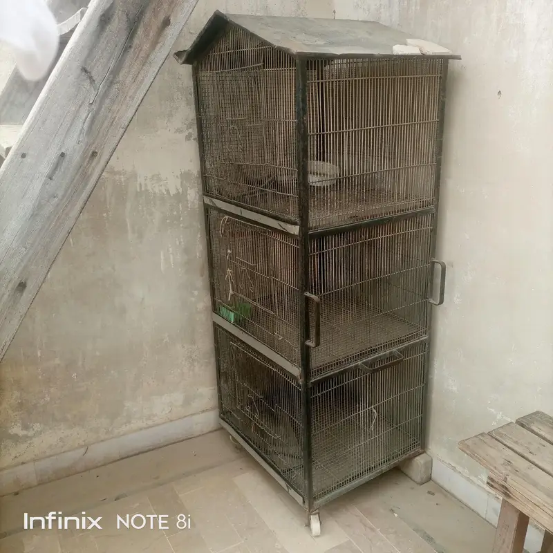 bird cage — photo 2