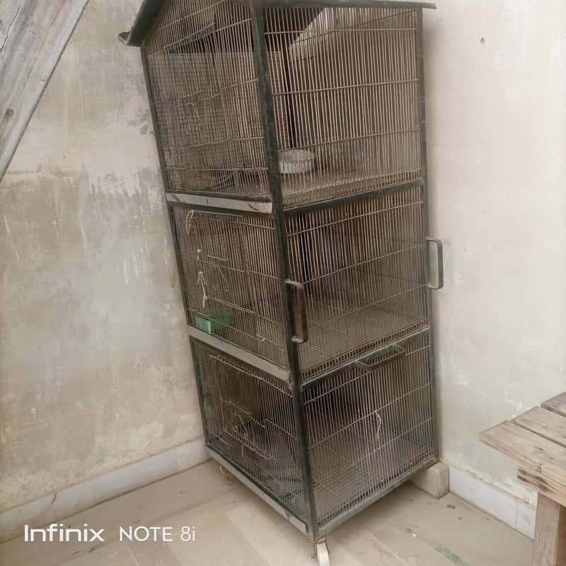 bird cage 2