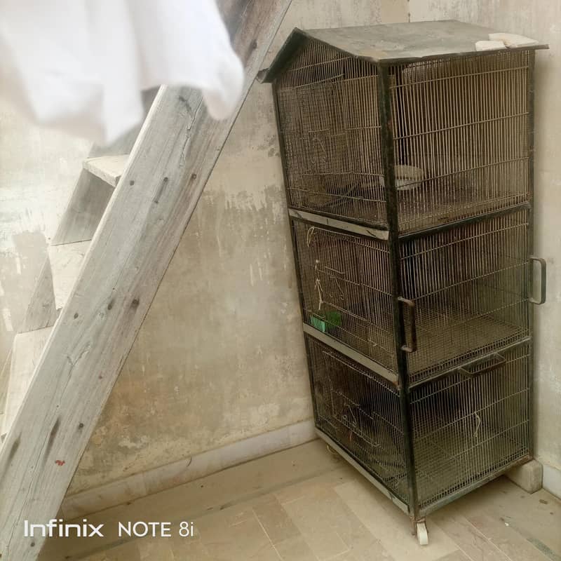 bird cage 3
