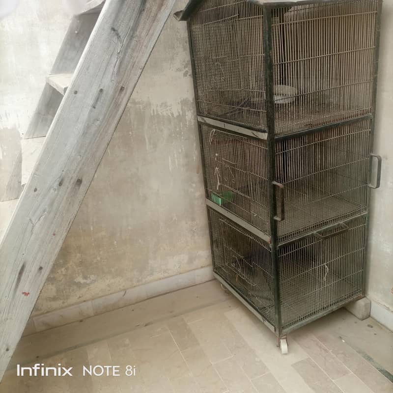 bird cage 4