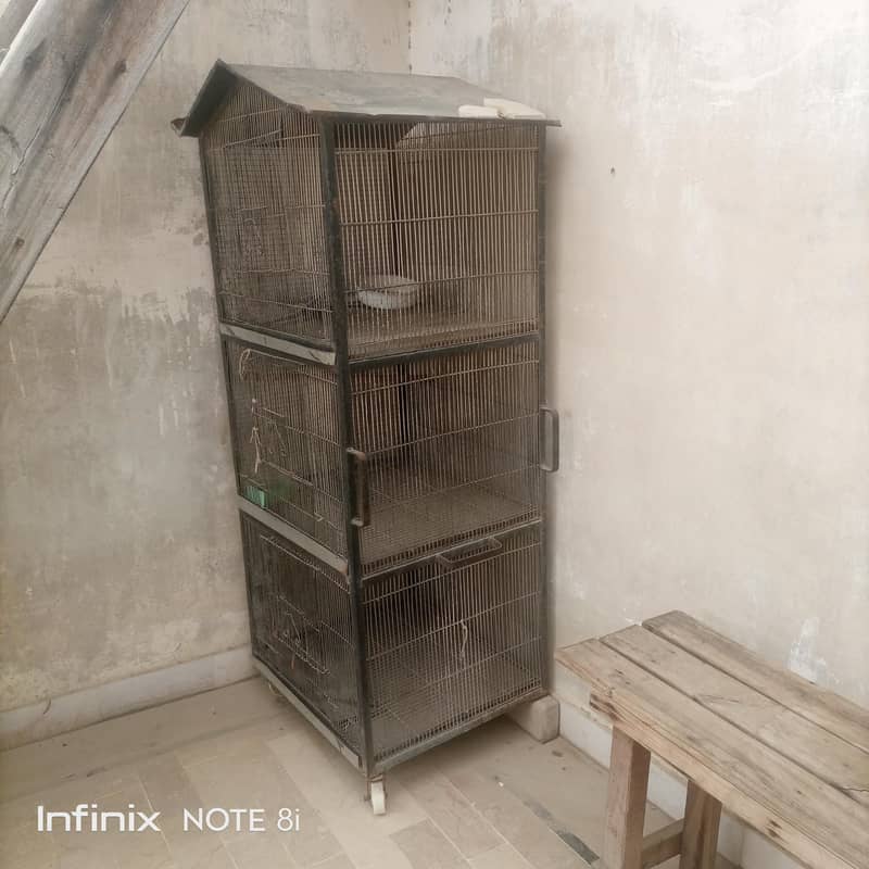 bird cage 5
