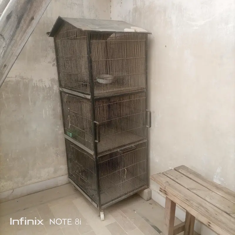 bird cage — photo 6