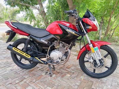 Yamaha ybr 18/19 model urgent sale