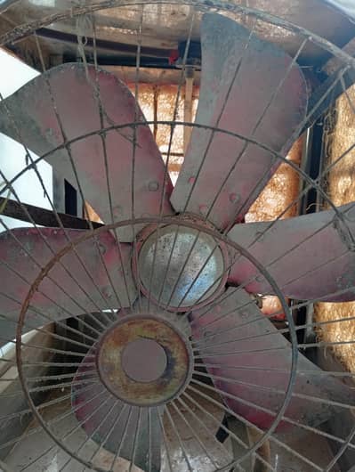 رائیل فین چھت والا اور ایک عدد کولر فین