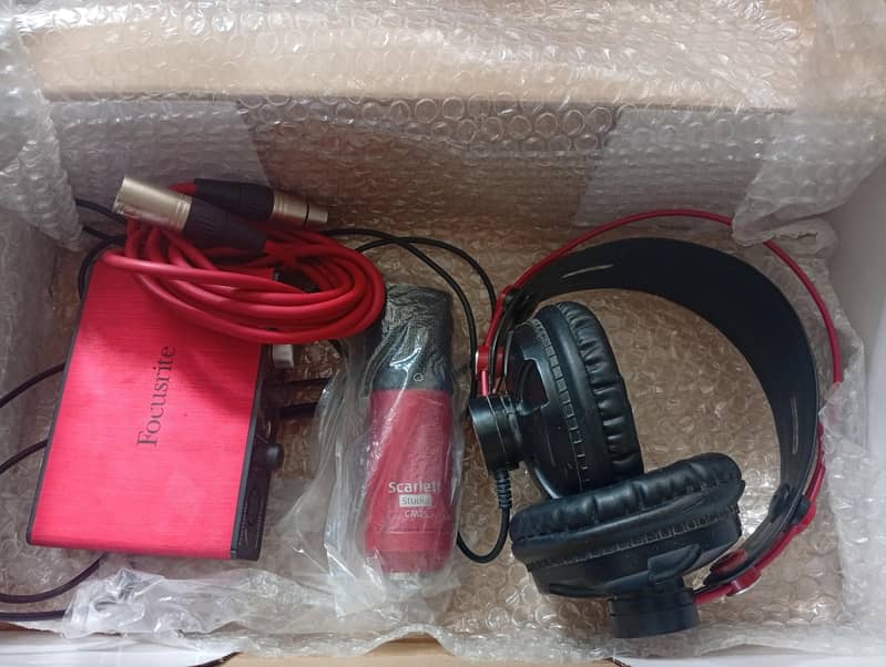 professional Mic with interface 2