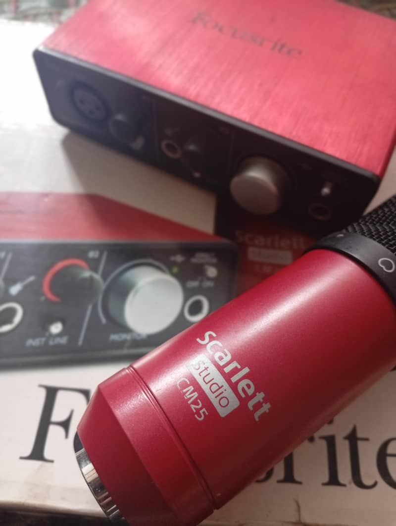 professional Mic with interface 3