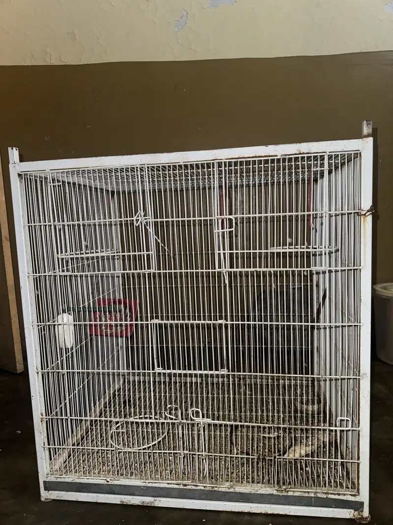 Used for 5 months