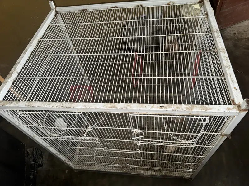 Used for 5 months — photo 3