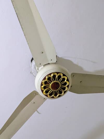 Ac Dc fan pure cooper