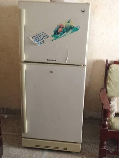 pel fridge for sale