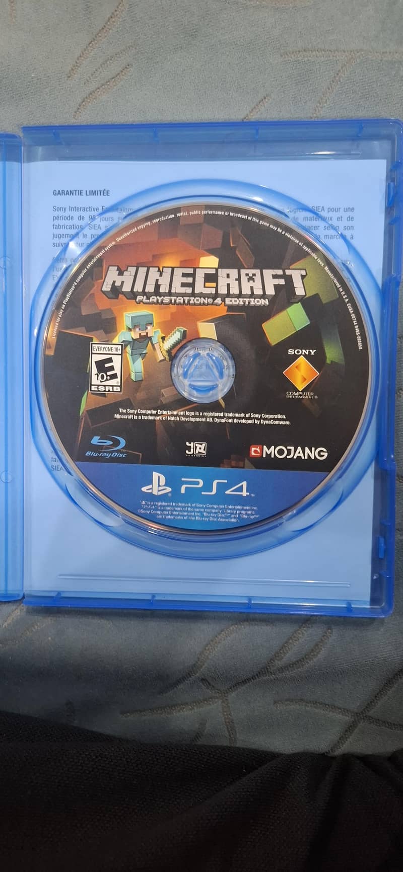 Minecraft PS4 Edition 2