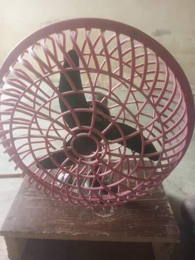 best fan hai 12 watt