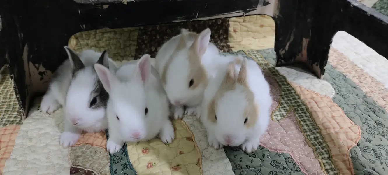 adorable babies — photo 2