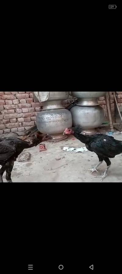 setup khatam kar Raha hu