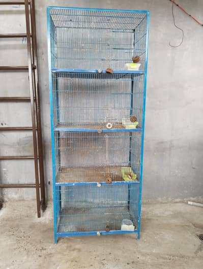 4 Portion Cage for Sale