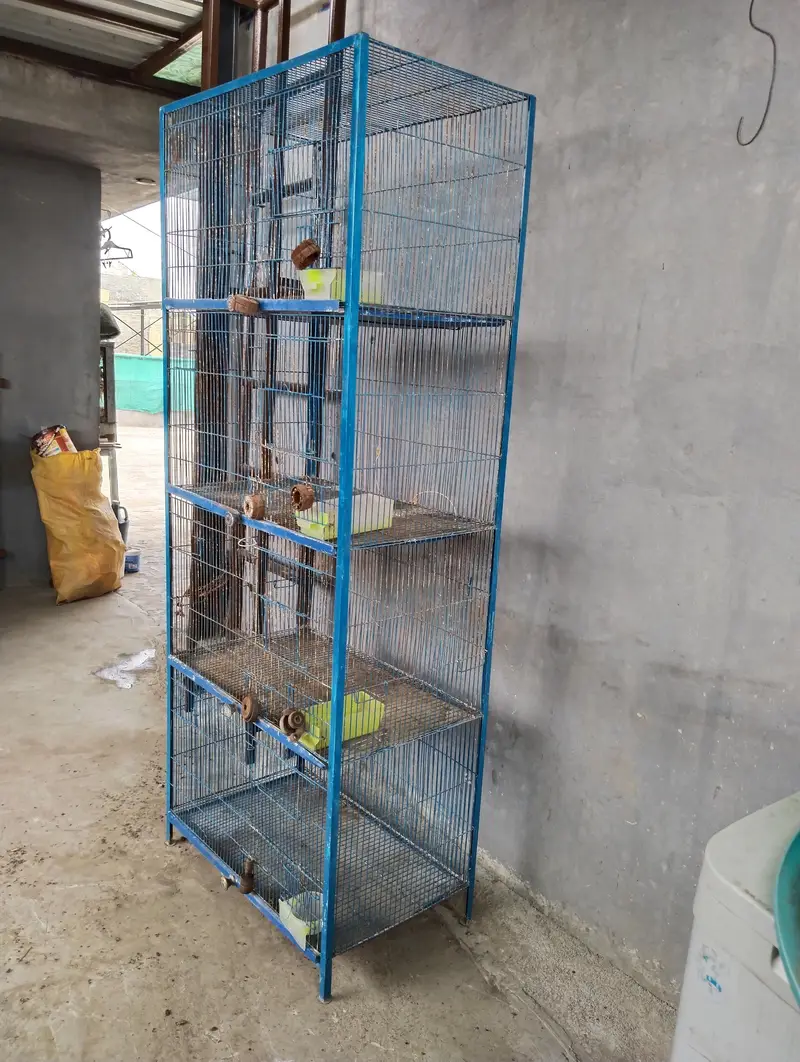 4 Portion Cage for Sale — photo 2