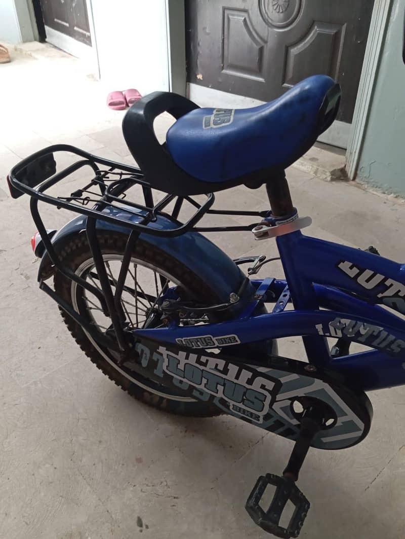 smart cycle 2