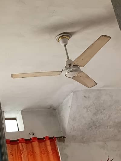 Ac Dc fan
