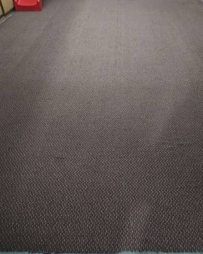 Used Carpet
