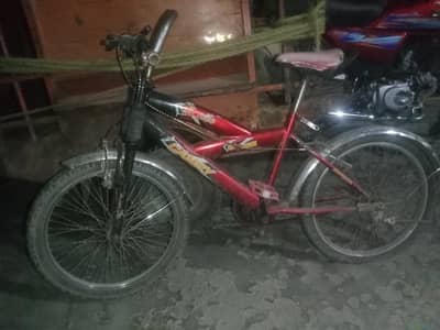 cycle 03704938238