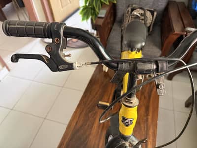 Aibeile Kids Bicycle ( 5Y se 12Y Bacho ki liye) carbon fiber one frame