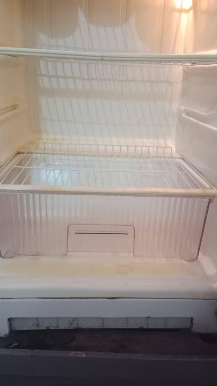 fridge 2
