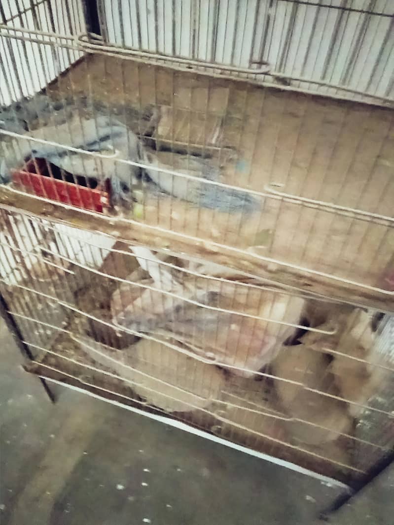 Cage. 0