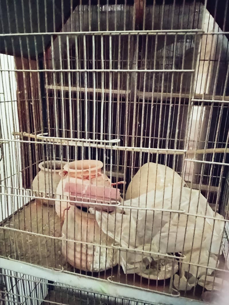 Cage. 1