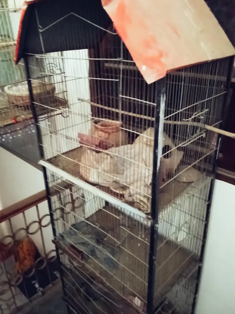 Cage. — photo 4