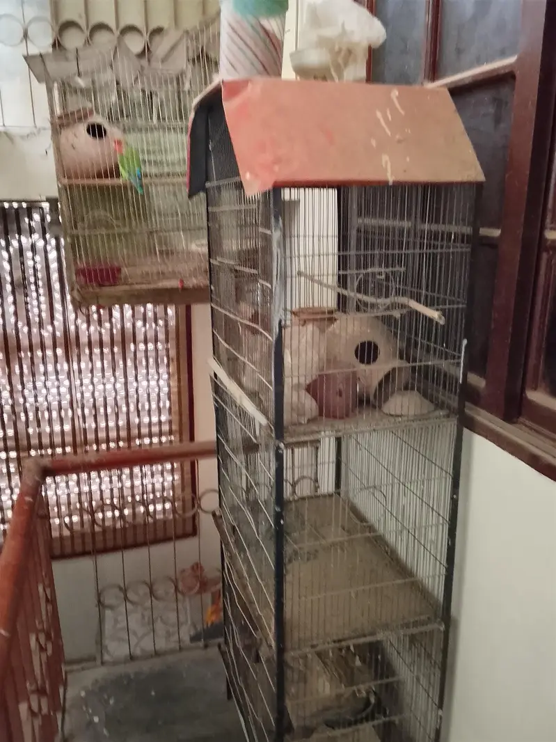 Cage. — photo 5