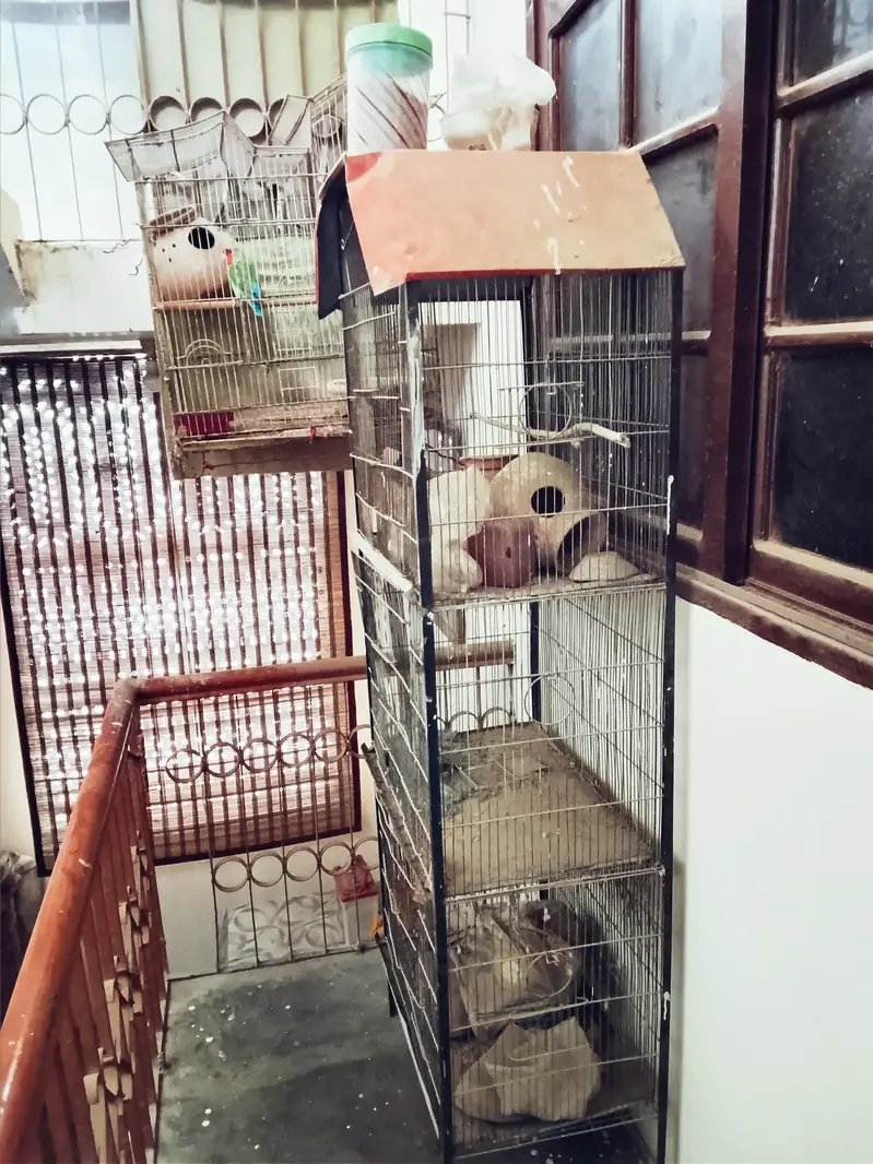 Cage. — photo 6