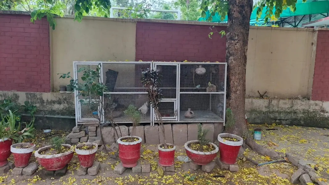 Big size n heavy material cages f sell — photo 2