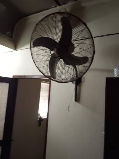 fans.