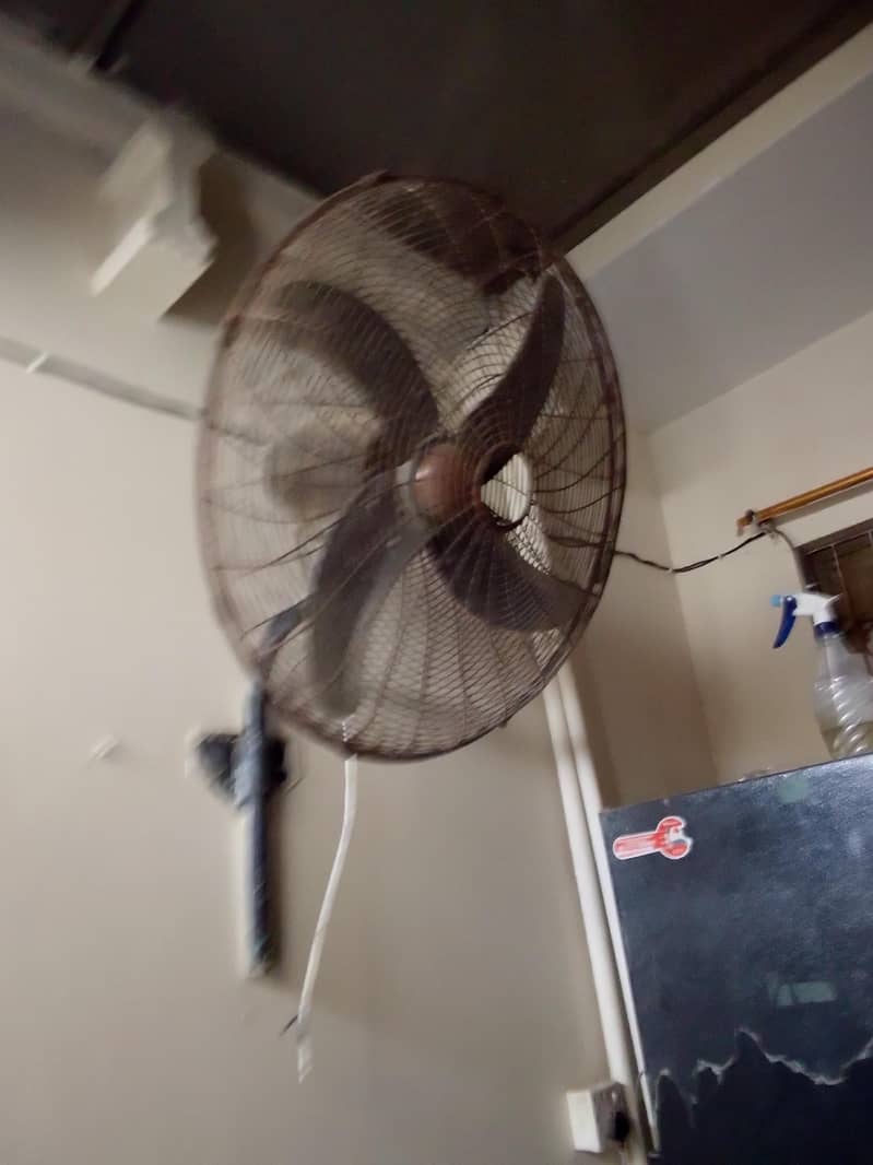 fans. 1
