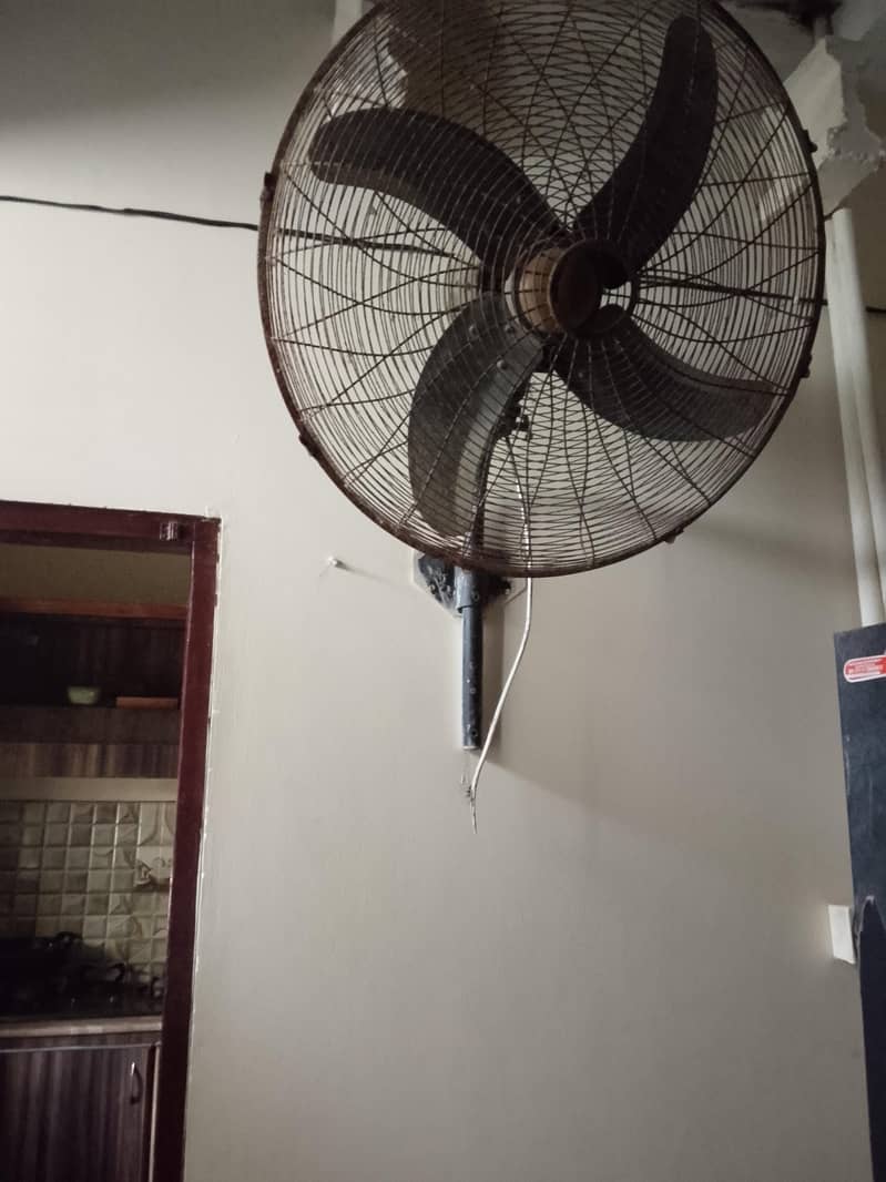 fans. 2