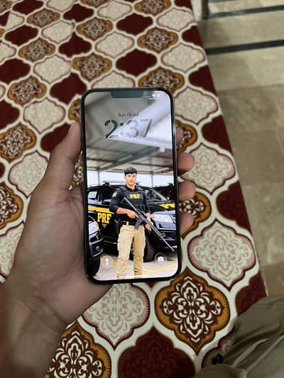 iPhone 13 Pro Max 256gb