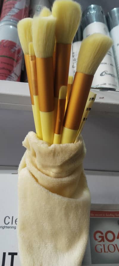 Salon Makeup Brush Set